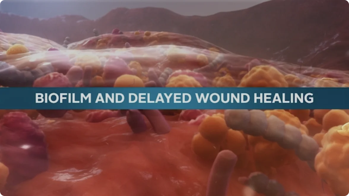 interfaz gráfica de usuario, texto