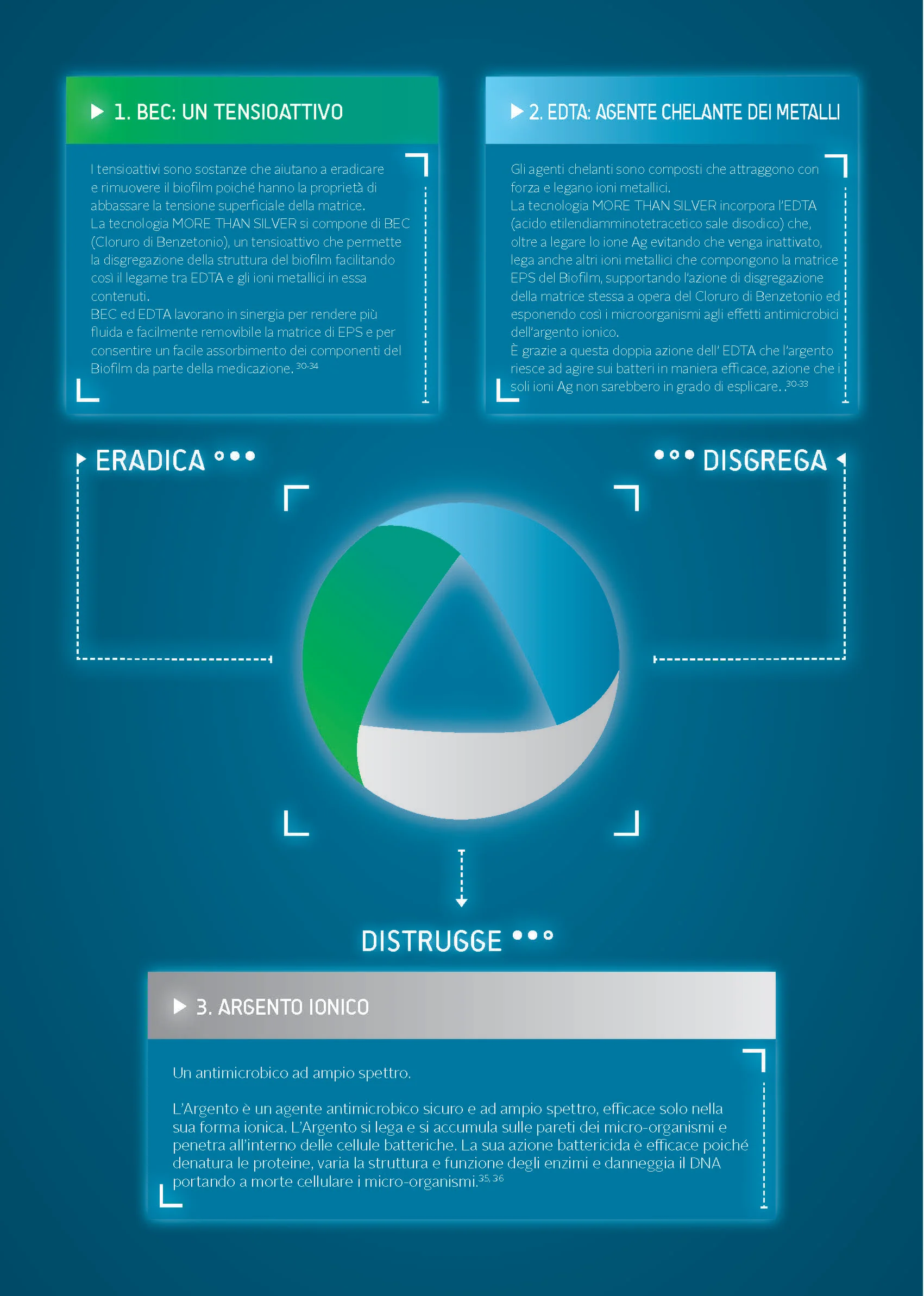 MORE THAN SILVER Schema